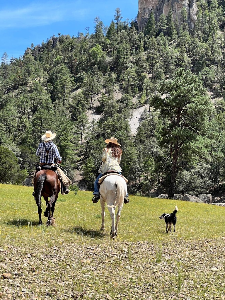 Por las barrancas del cobre inicio en los Mochis 5 noches - 6 días Categoría A Tríple