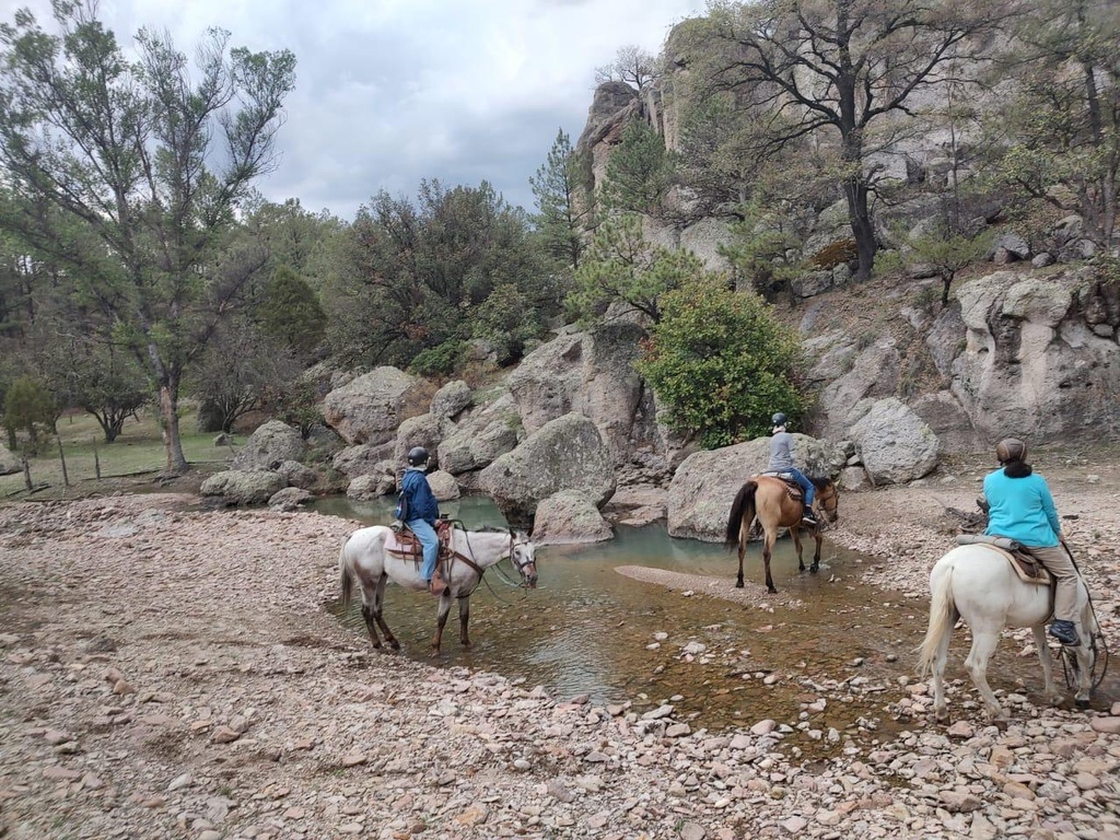 Por las barrancas del cobre inicio en los Mochis 5 noches - 6 días Categoría A Tríple