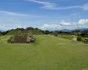 Monte Albán Barro negro Alebrijes Adulto