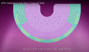 Captura de pantalla 2025-09-02 a la(s) 1.06.05 p.m..webp