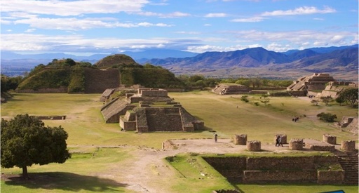 [TOEN003] Monte Albán Barro negro Alebrijes Adulto