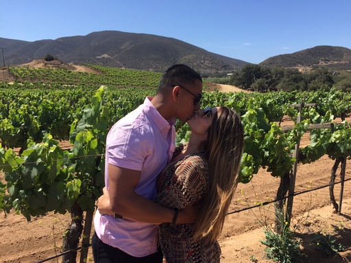 [TETH006] Valle de Guadalupe Wine Tasting Tour Compartido Adulto